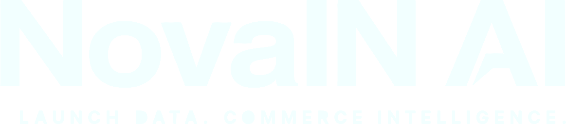 NovaIN AI Logo